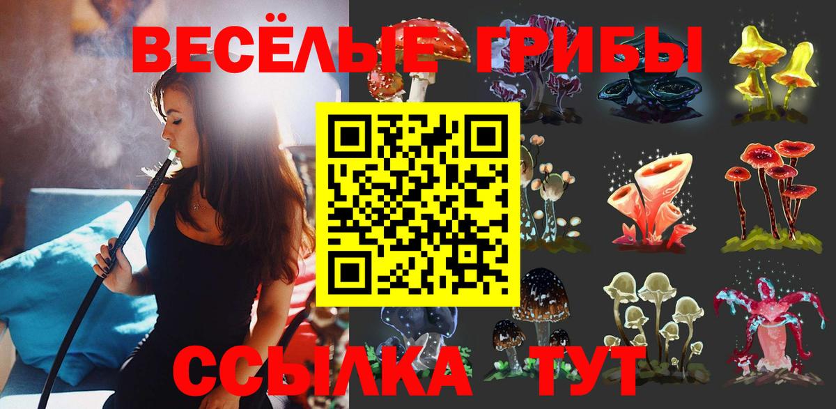 Галлюциногенные грибы GOLDEN TEACHER Минеральные Воды